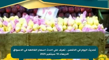 تحديث اليوم في الأقصر.. تعرف على أحدث أسعار الفاكهة في الأسواق الأربعاء 10 سبتمبر 2025